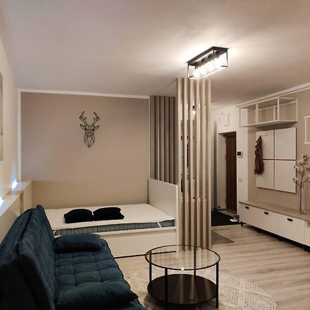 Joy City Stay Vivalia V6A-41 Timisoara Exterior photo